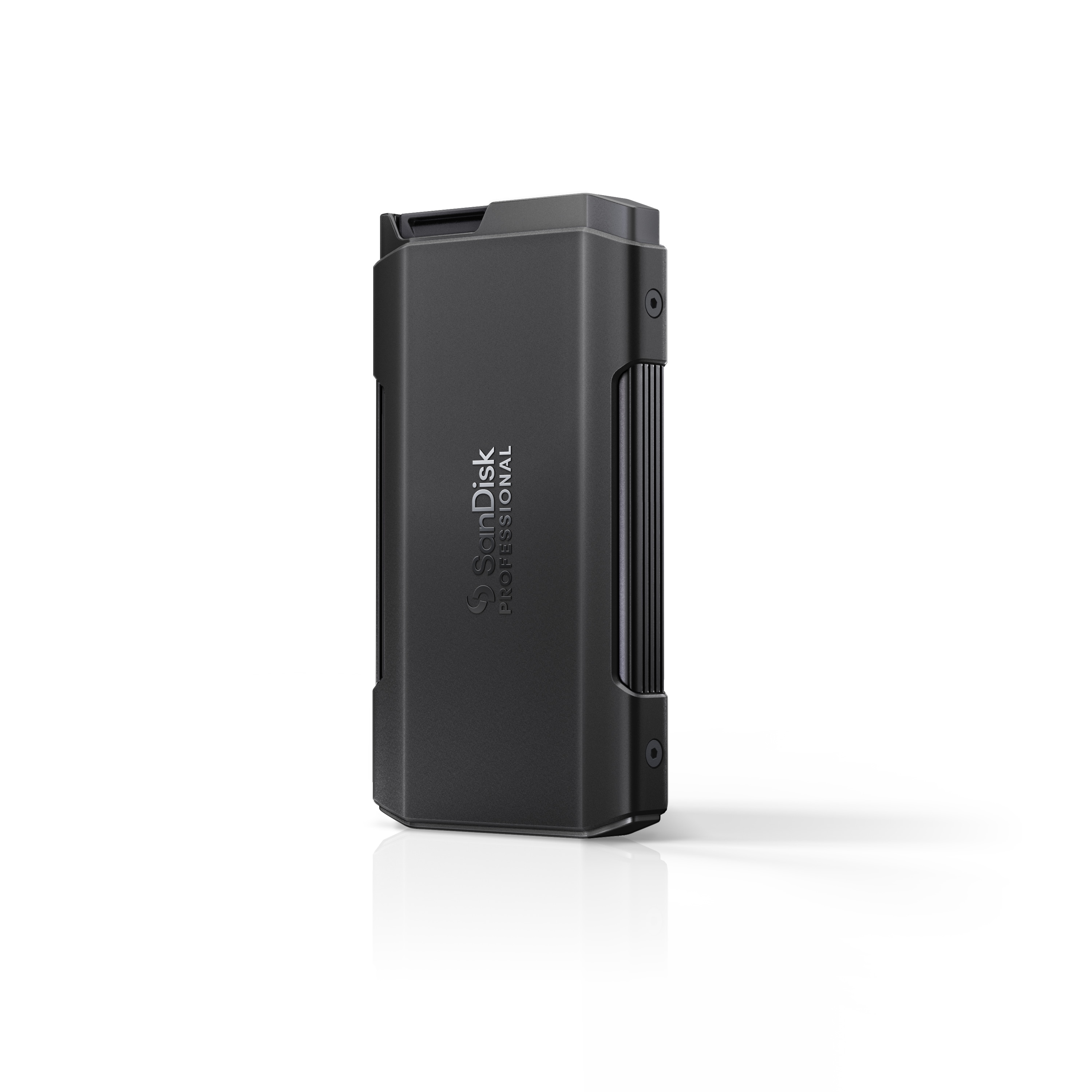 SanDisk PROFESSIONAL PRO‑BLADE TRANSPORT 1 TB USB-C 3.2 (20Gb/​s) externe SSD