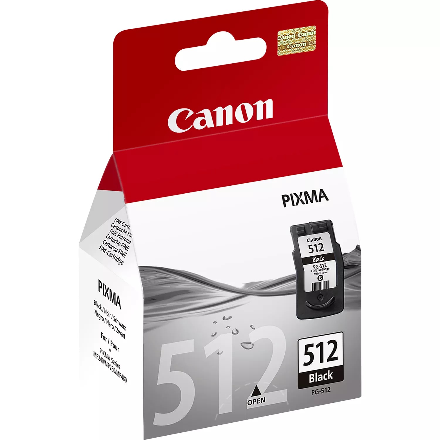 Canon 2969B001 Druckerpatrone Pg Groß Schwarz