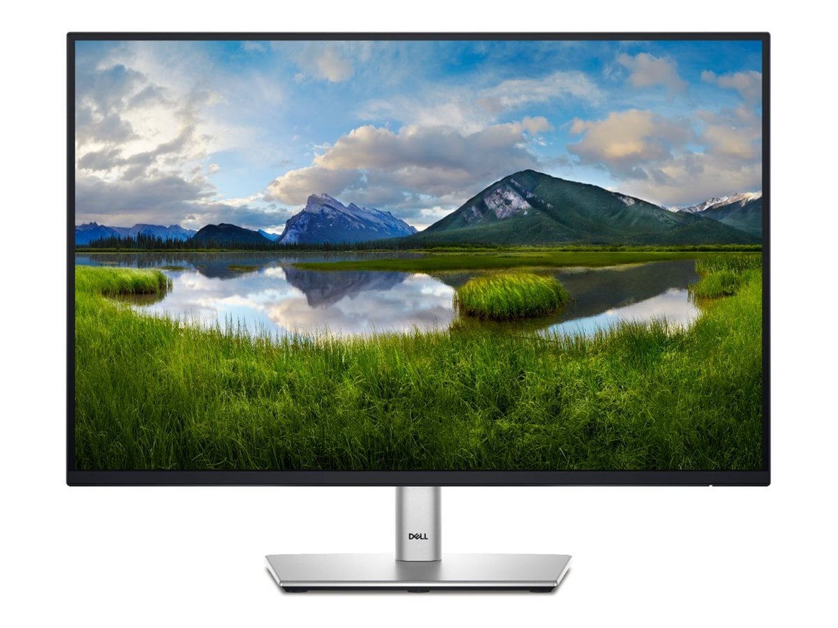 Image of 24" Dell P2425E - 1920x1200 - 100Hz - IPS - 90W USB-C