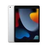 Apple iPad 10.2 WiFi MK2P3FD/A (2021), 256GB, iPadOS, silber