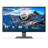 Philips P-Line 439P1 42.5 Zoll 4K (UHD) VA LED 16:9 60 Hz Monitor