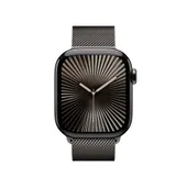 Apple Watch Series 10 LTE 42mm Slate Titangehäuse mit Slate Milanese Loop