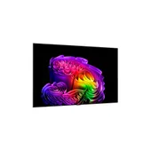 LG OLED77G67L Evo Smart TV Gallery Design UHD 120 Hz Fernseher