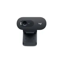 Logitech C505e
