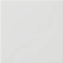 Gira S3000 Bedienaufsatz System 55 Reinweiß glänzend