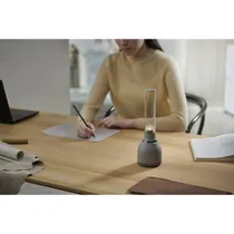 Sony LSPX-S3 Bluetooth, grau