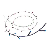WiZ RGBIC Smart LED Fairy Light - Lichterkette mit 160 LEDs, 16 Mio. Farben + Weißtöne, 8 Lichtzonen