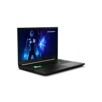 Erazer Deputy 15 P1 15,6" FHD 144Hz Core 9 270H 32GB/2TB SSD RTX5070 Win11 MD62760