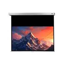 Celexon Rollo Professional Plus 220x124cm 16:9