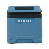 Igloo IE24 AC/DC Thermoelektrische Kühlbox 24l