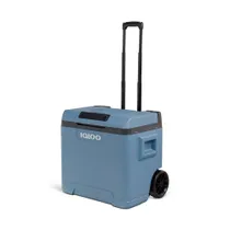 Igloo IE42 AC/DC Thermoelektrische Kühlbox 42l