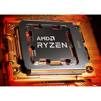 AMD Ryzen 9 7900X Box ohne Kühler Buy