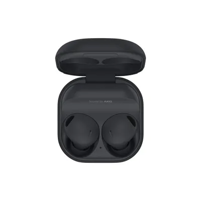 Samsung SM-R510 Galaxy Buds 2 Pro graphite Buy