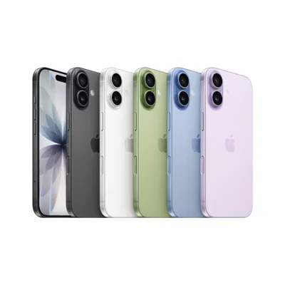 Apple iPhone 17 256GB Schwarz MG6J4ZD/A Buy