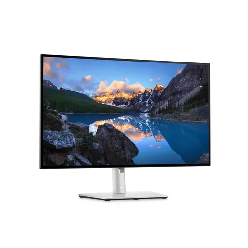 Dell U2422HE 60.47 cm (23.8