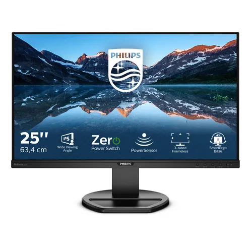 Philips 252B9/00 63.5 cm (25") WUXGA Monitor
