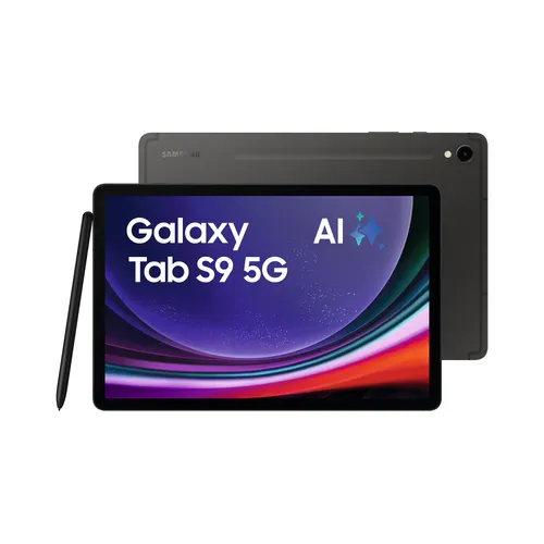 Samsung Galaxy Tab S9 X716B 5G 256GB, Android, graphite