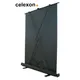 Celexon Professional Line Ultramobil Plus Leinwand 200x200cm 1:1