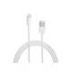 Apple Lightning auf USB Kabel 2.00 m weiß