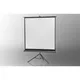 celexon Stativleinwand Economy 158 x 158cm