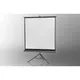 Celexon Economy Line Stativ Leinwand 184x184cm 1:1