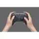 Nintendo Switch Pro Controller