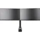 iiyama DS1002C-B1 2-fach 10"-30" Monitorhalter