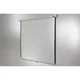 celexon Leinwand Rollo Professional 200 x 200 cm
