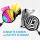 HP CH561EE / 301 Original Druckerpatrone Schwarz