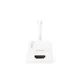 Digitus DB-340416-002-W DisplayPort Adapter/Konverter 0.20 m weiß