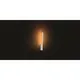 Philips Hue White & Col. Amb. Liane Wandleuchte weiß 900lm