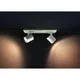 Philips Hue White Ambiance Runner Spot 2 flg. inkl. Dimmschalter 2x350lm weiß