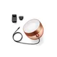 Philips Hue White & Col. Amb. Iris Tischleuchte Special Edition kupfer 570lm