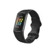Fitbit Charge 5 schwarz/graphite