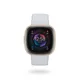 Fitbit Sense 2 Fitness-Smartwatch Nebelblau/Softgold