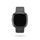 Fitbit Sense 2 Fitness-Smartwatch Grau