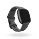 Fitbit Sense 2 Fitness-Smartwatch Grau
