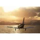 Flight Simulator - 40th Anniversary - Deluxe Edition Digitaler Code