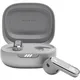 JBL LIVE Flex True Wireless In-Ear Bluetooth Kopfhörer silber