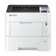 Kyocera ECOSYS PA5000x/Plus Laser Drucker