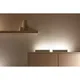 WiZ Light Bar Tischleuchte Tunable White & Color 800lm Doppelpack