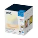 WiZ SQUIRE Portable Tischleuchte Tunable White & Color Einzelpack