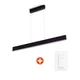 Philips Hue White & Color Ambiance Ensis Pendelleuchte sw, inkl. Dimmschalter V2