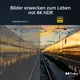 Sony Bravia KD65X75WLAEP 165 cm (65") 4K / UHD