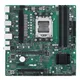 ASUS PRO B650M-CT-CSM AMD, AM5, DDR5, mATX