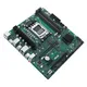 ASUS PRO B650M-CT-CSM AMD, AM5, DDR5, mATX
