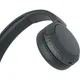 Sony WH-CH520 schwarz