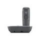 Gigaset E560A platin