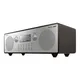 Panasonic RF-D100BTEGT braun