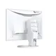 EIZO FlexScan EV2490-WT 60.47 cm (23.8") Full HD Monitor
